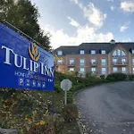 Tulip & Honfleur