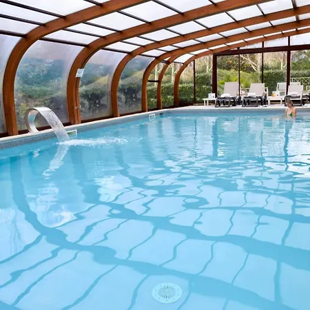 Tulip & הונפלר