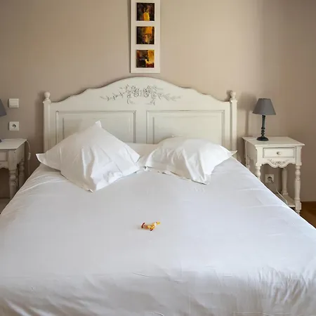 Hotel Tulip & 3*