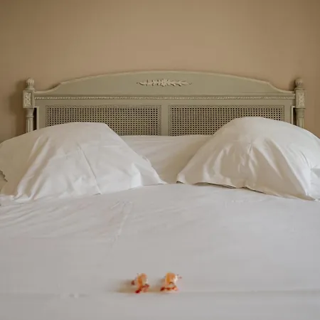 Tulip & Hotel 3*