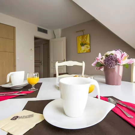 Tulip & הונפלר